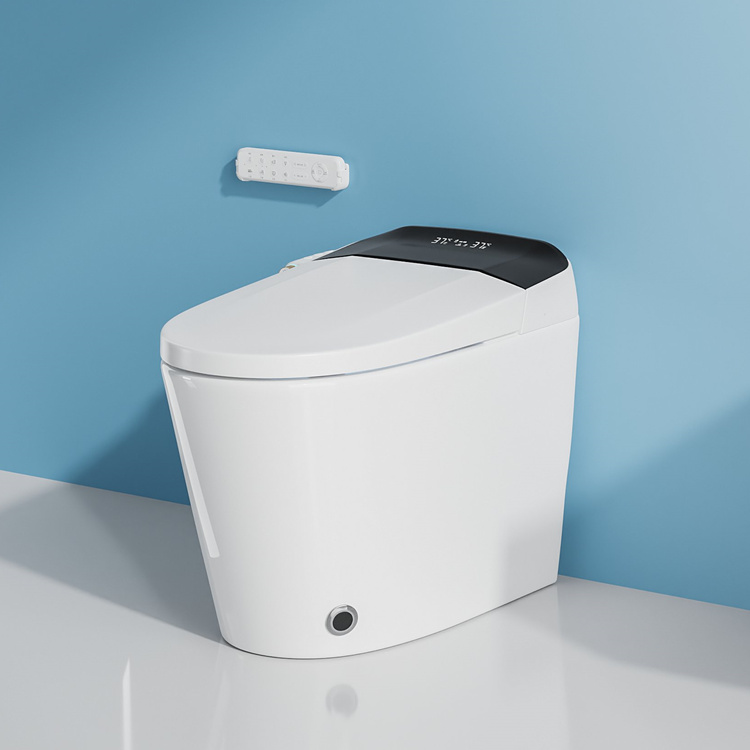 Умный электронный унитаз с авт – обзор и цена Electronics For Home