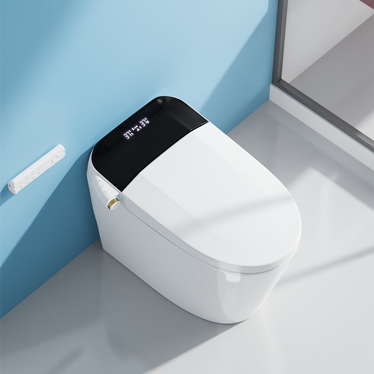 Умный электронный унитаз с авт – обзор и цена Electronics For Home
